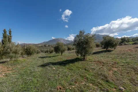 Terreno en Cogollos Vega