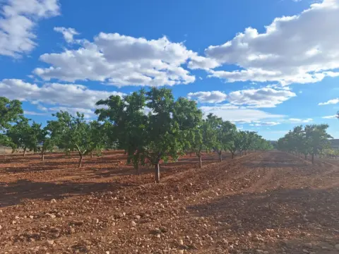 Terreno en Alicante