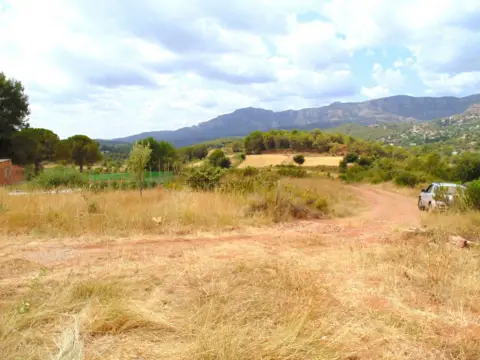 Rustic Finca on Vall de Maria Street