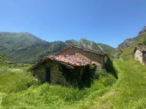 Finca rústica en calle Cuevas
