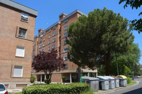 Piso en Avenida de Sánchez Arjona