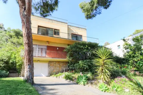 Casa en calle Pins, Dels