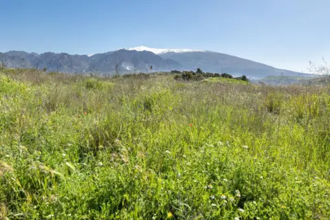Terreno en Conchar