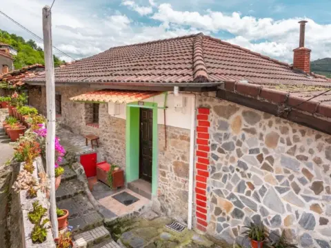 Finca rústica en calle Meruxal,El, nº 40