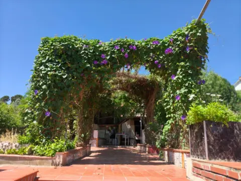 Finca rústica en Oasi 2