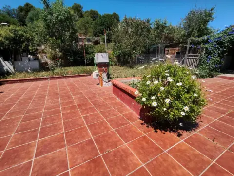 Finca rústica en Oasi 2