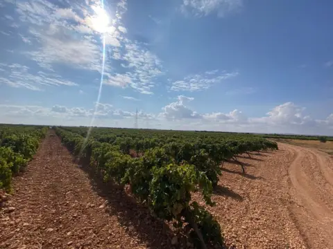 Terreno en Carretera de Pozuelo