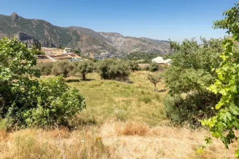 Terreno en calle Fuente 16 Caños