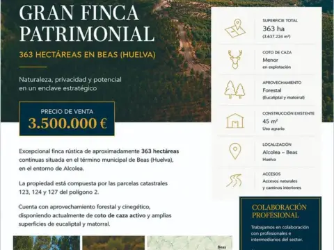 Terreno en Beas