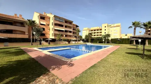 Piso – Cartagena