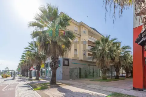 Apartamento en calle Julio Cienfuego Linares