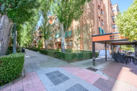 Piso en Paseo de Oria