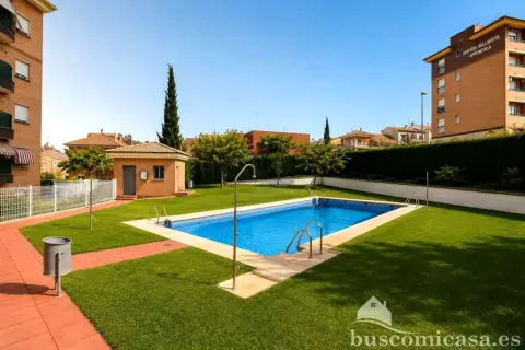 Piso – Linares