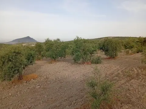 Terreno en Carretera de Pruna