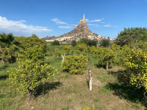 Terreno en Cabezo de Torres