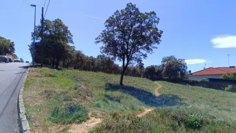 Terreno en calle de Blasco Ibáñez, 685