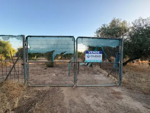 Terreno en calle Polígono 42 Paraje 376 Mata Alcozarina