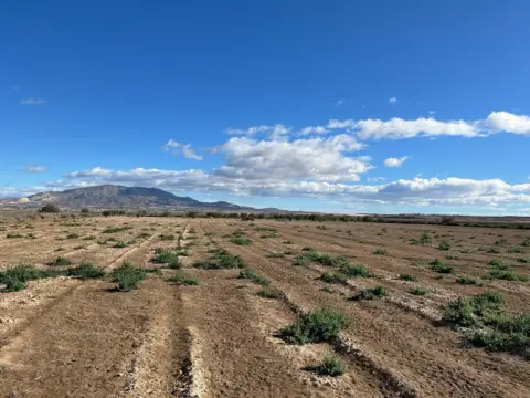 Terreno en Alhama