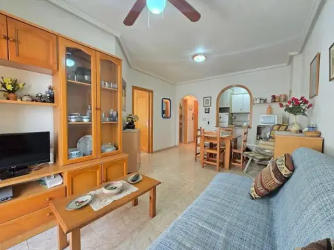 Apartment in Torrevieja