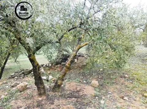 Terreno en Vega de Granada Zona Noroeste