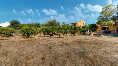 Finca rústica en Establiments - Son Sardina