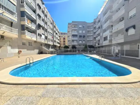 Pis – Torrevieja