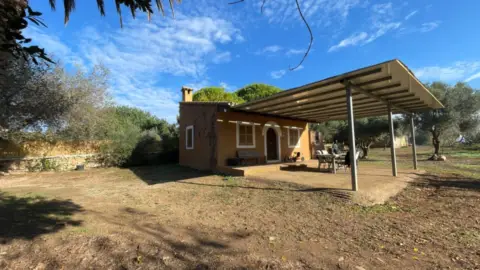 Finca rústica en Manacor Centro