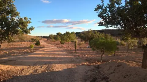 Finca rústica en El Pedrusco