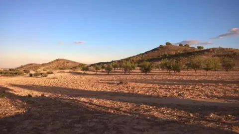 Finca rústica en El Pedrusco