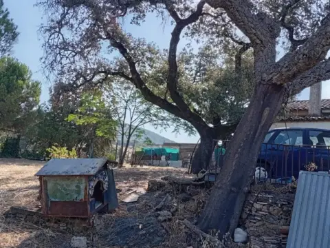Finca rústica en Higuera Dela Sierra