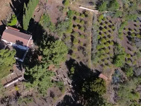 Finca rústica en El Rincon Gran Canaria