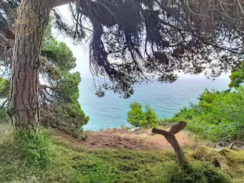 Terreno en Camí Vell de Caldes