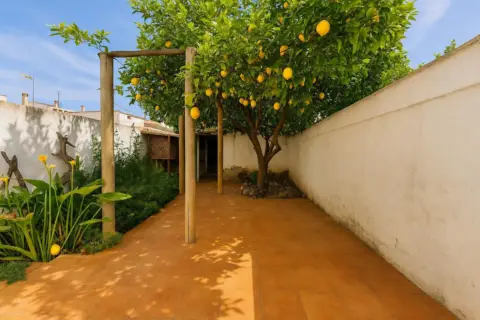 Piso en Carrer de Joan Estelrich Artigues