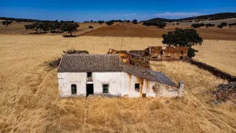 Terreno en calle del Espartal, nº Sn