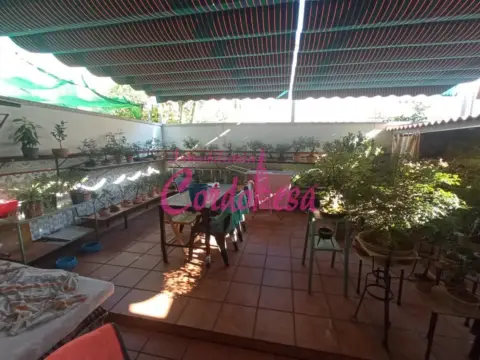 Casa en Alcolea