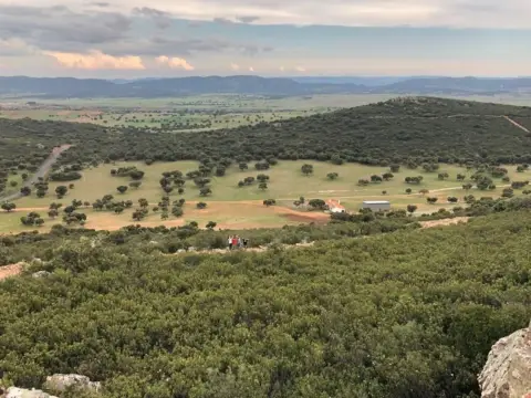 Finca rústica en Almodóvar del Campo