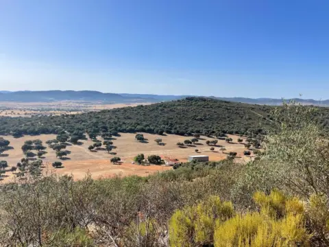 Finca rústica en Almodóvar del Campo