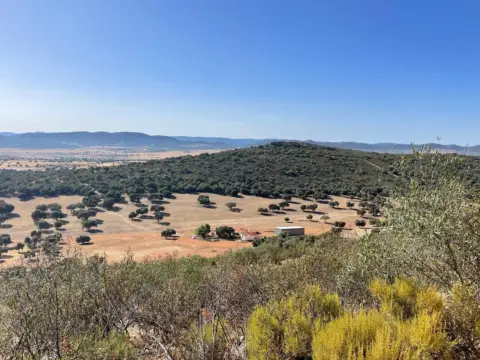 Finca rústica en Almodóvar del Campo