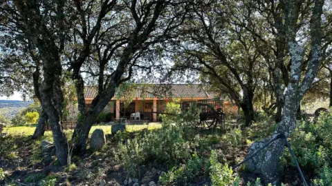 Finca rústica en Pino Alto - Navarredonda