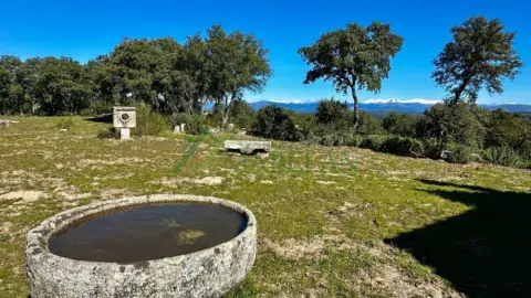 Finca rústica en Pino Alto - Navarredonda