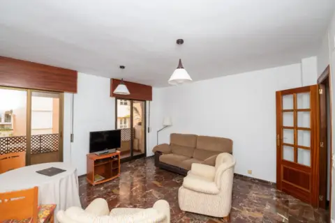 Piso en calle Profesor Motos Guirao