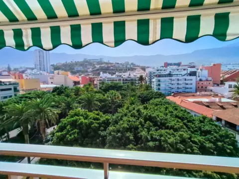 Estudio en calle de la Marina