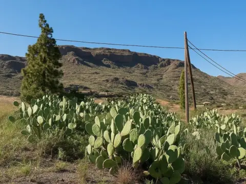 Casa pareada en Cercados de Araña