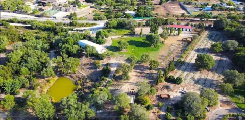 Finca rústica en Vejer de la Frontera