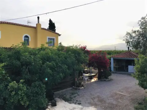 Finca rústica en Fuente Álamo de Murcia