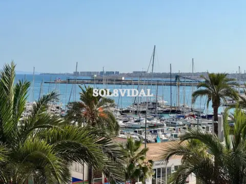 Piso en Paseo Vistalegre