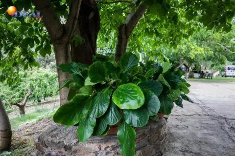Terreno en calle Majadillas