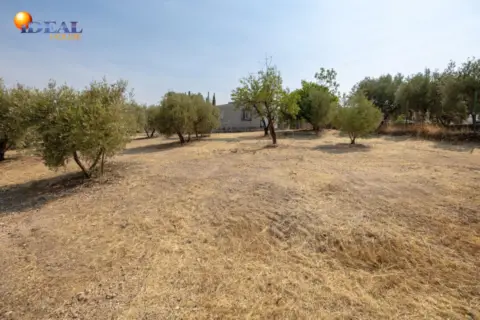 Finca rústica en calle de Moraleda A Cómpeta, nº 22
