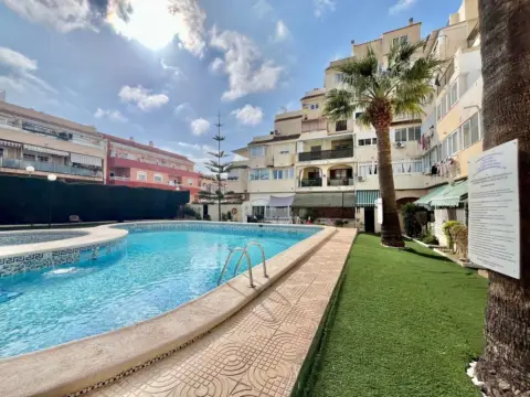 Estudio en Nueva Torrevieja