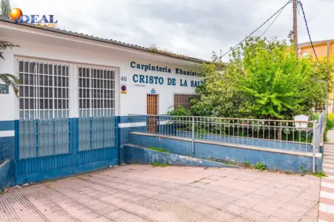 Nave industrial en Paseo de Colón, 46